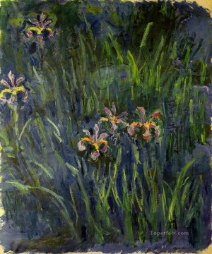 Flores Painting - Iris II Claude Monet Impresionismo Flores